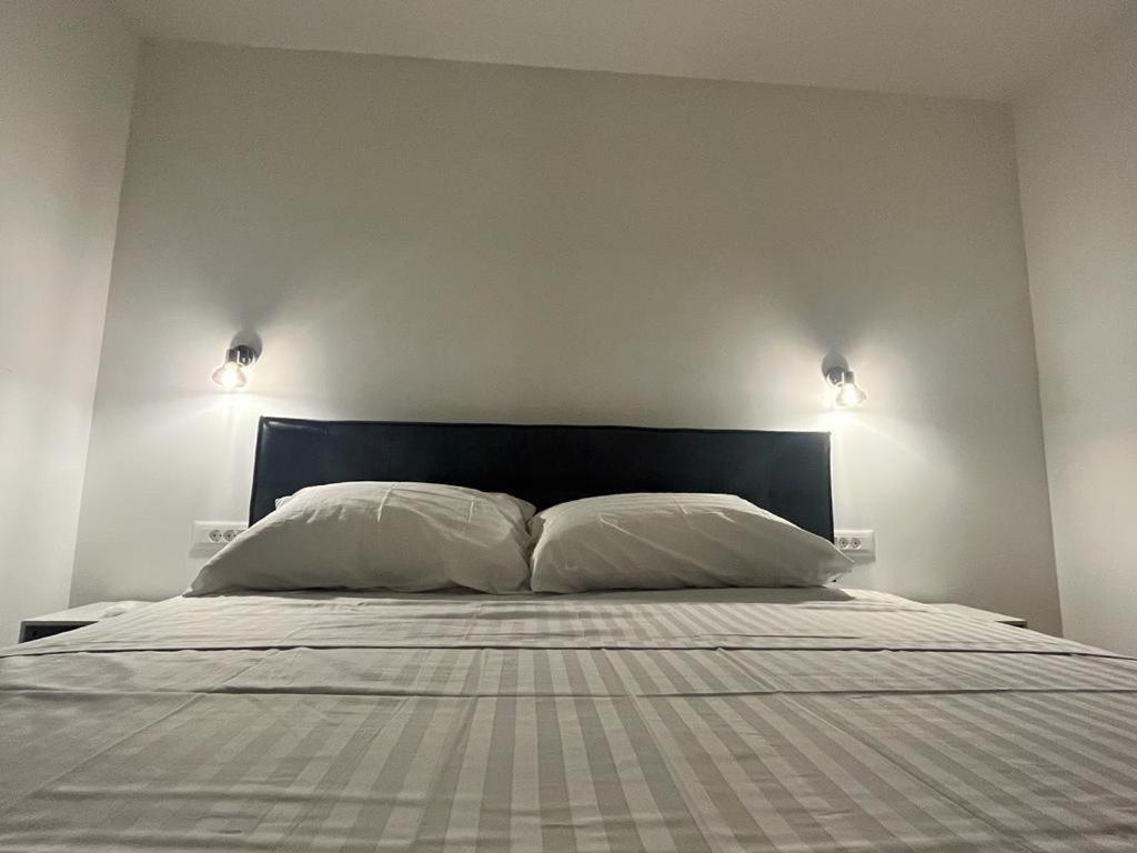 Olive Oasis Penthouse With Jacuzzi Appartement Zadar